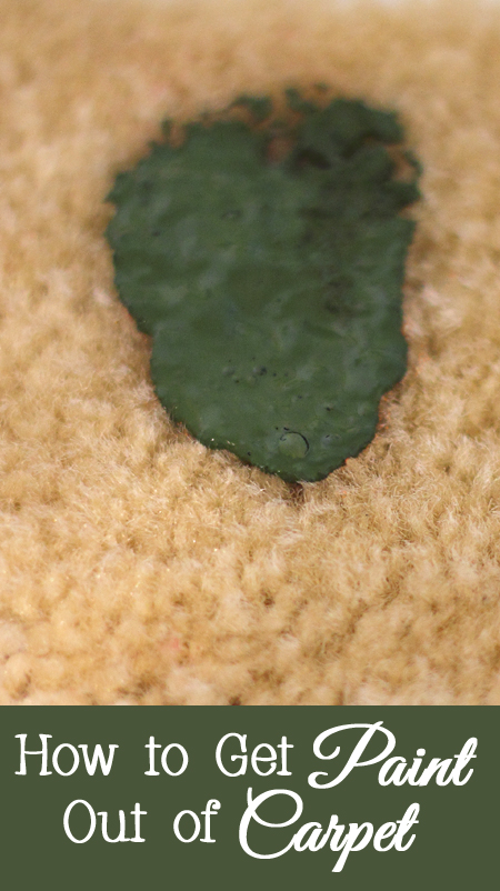 Tips and Tricks for Getting Paint Out of Carpet