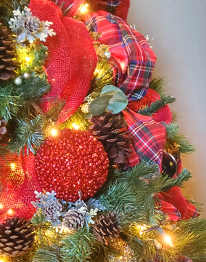 christmas lights designer