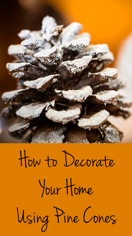 Decorating with Pine Cones