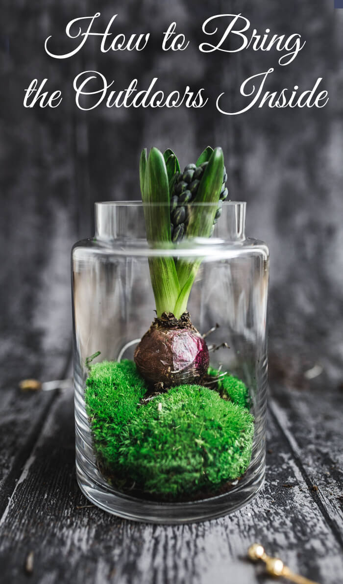 How to bring the outdoors inside - interior design and decorating tips and tricks