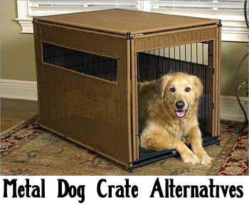 Metal dog crate alternatives