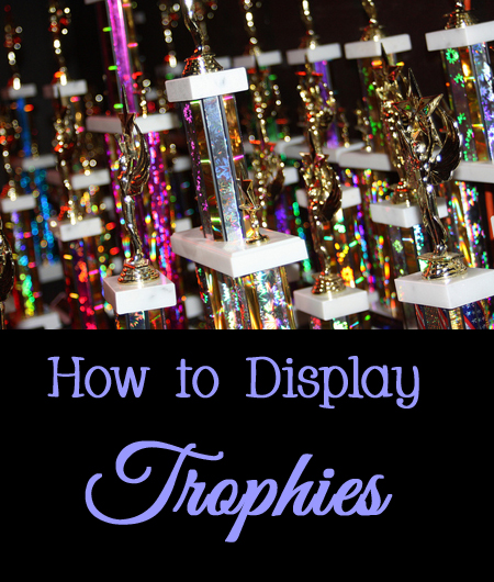 Tips and Tricks for How to Display Trophies