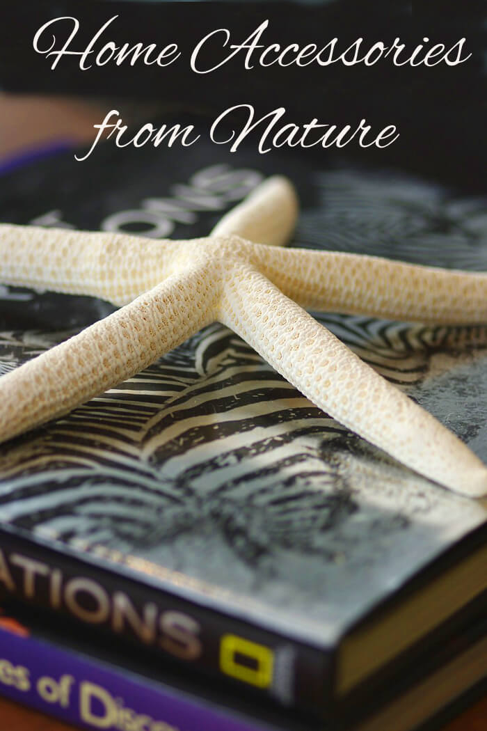 How to Decorate Your Home Using Accessories from Nature